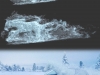 gazprom_stills