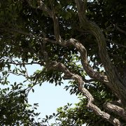 02_Teaser_Image_GroFx_gross